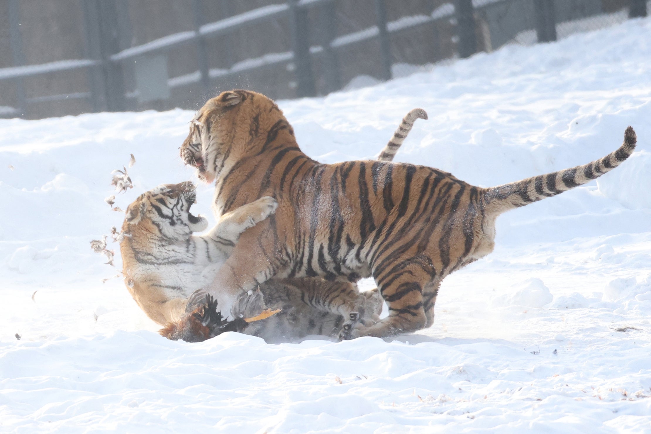 <p>File. Representative image </p>