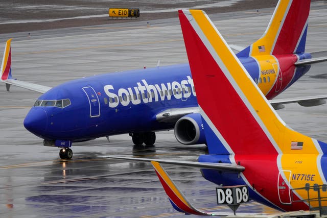 Southwest passenger allegedly escorted off plane for petting new puppy
