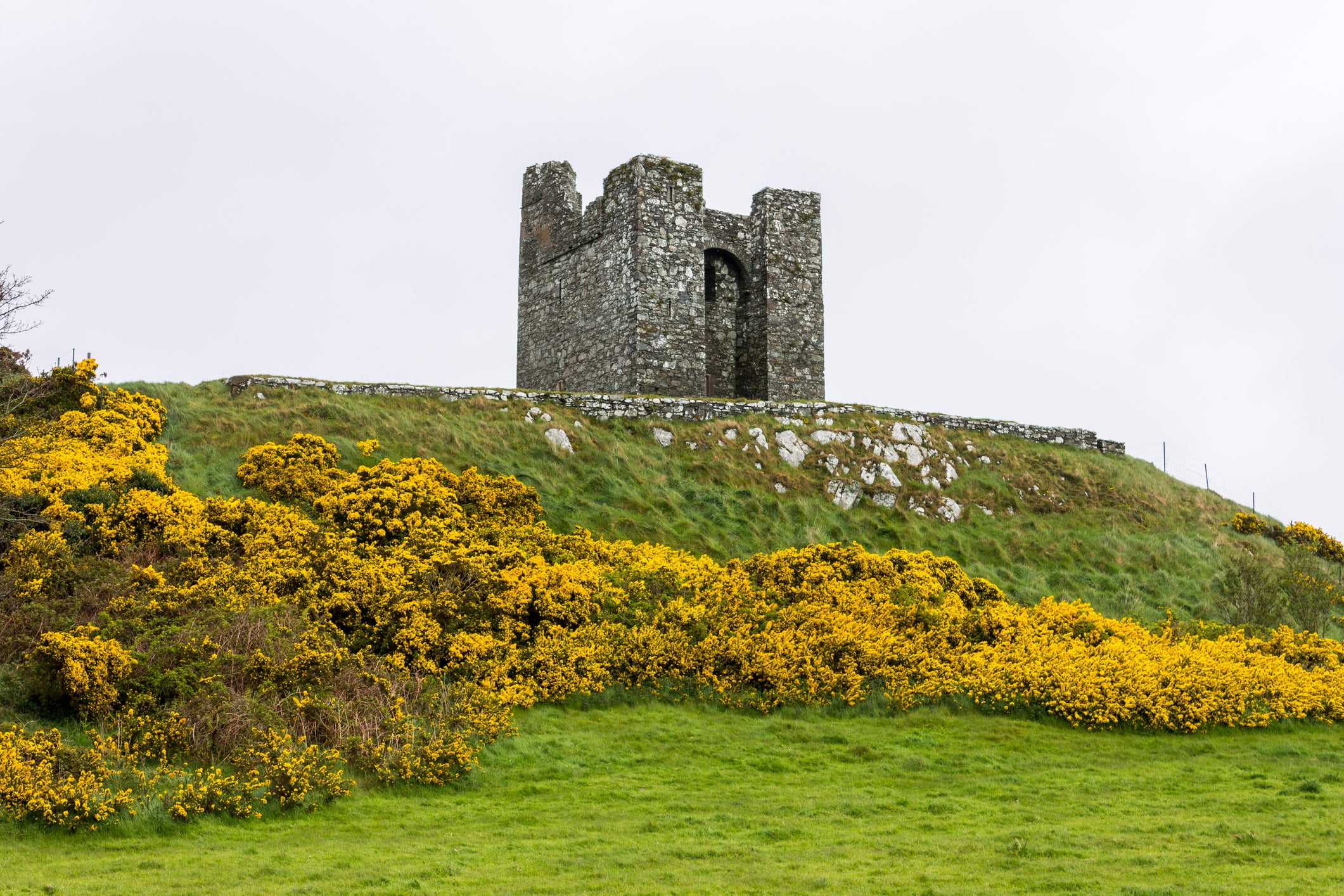 Keep your eyes peeled for the 15th-century Audley’s Castle on this Northern Ireland walk