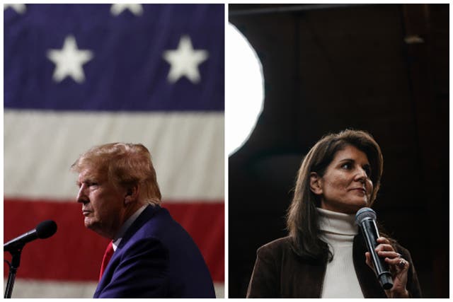 <p>2024 candidate Donald Trump (left) is narrowing his lead over his political opponent Nikki Haley (right) in New Hampshire, according to new polling</p>