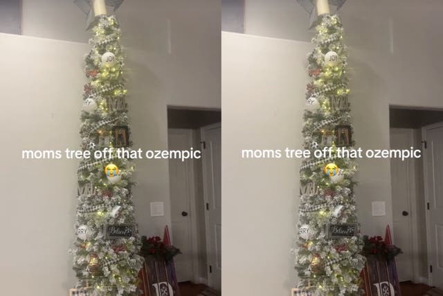 <p>Woman jokes about mother’s skinny ‘Ozempic’ Christmas tree</p>