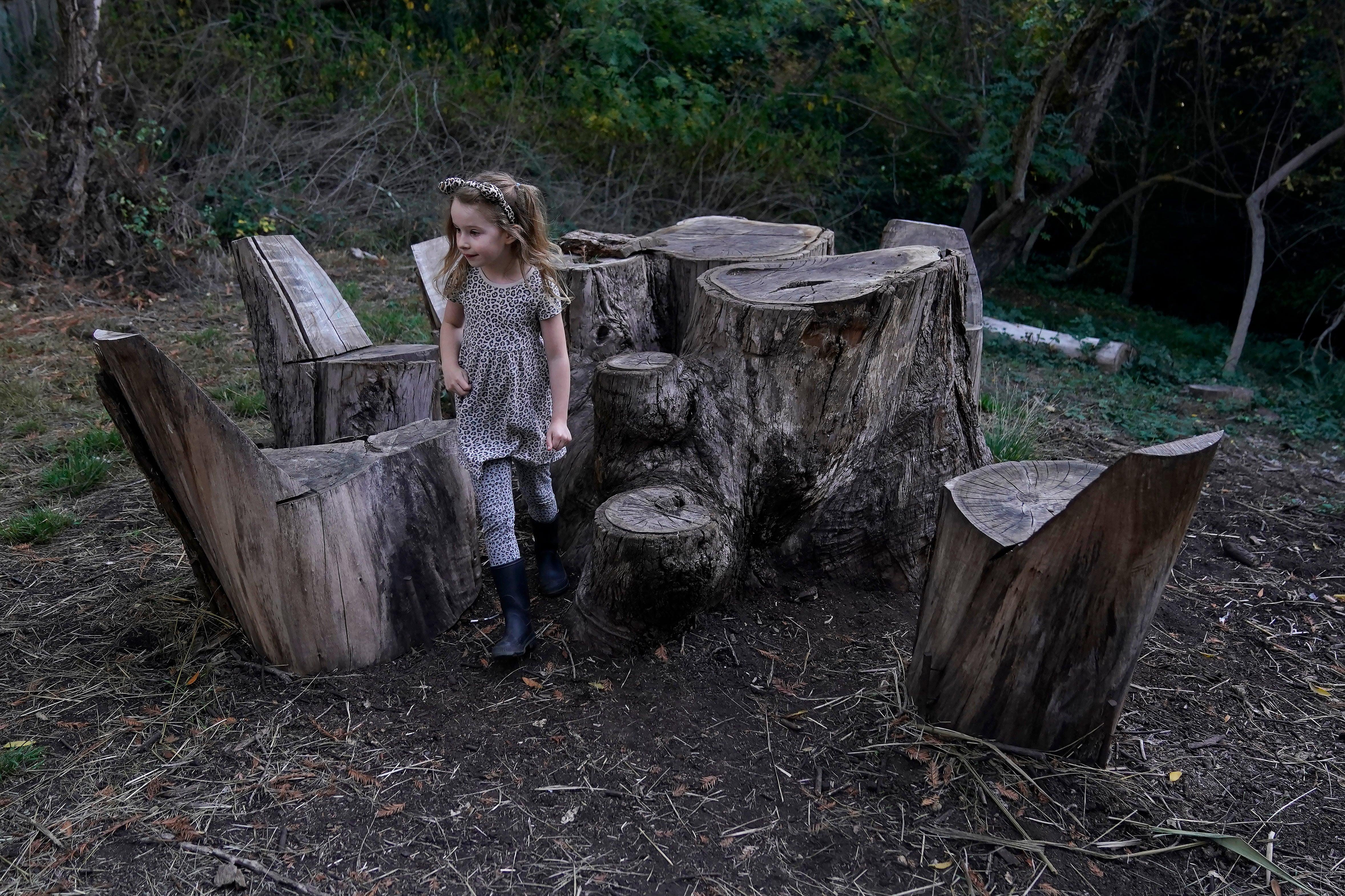 Education Kindergarten Enrollment