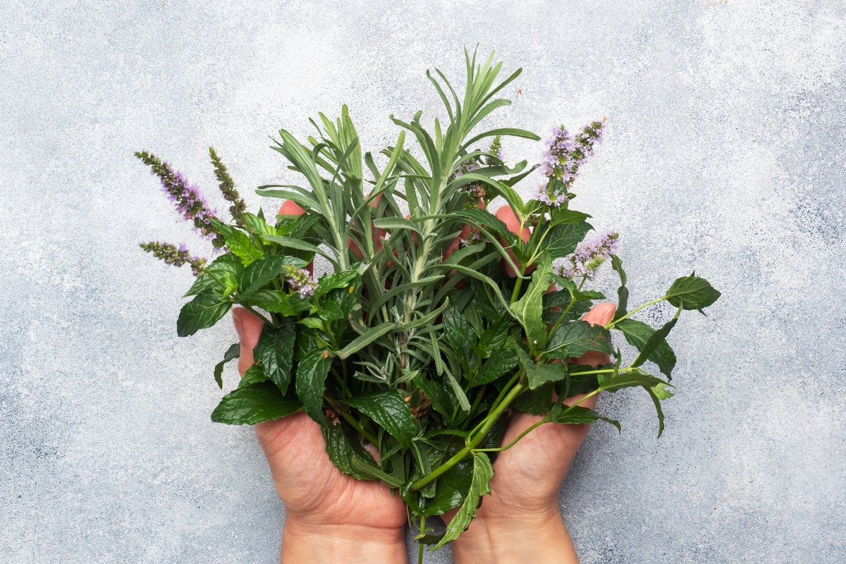 The herb linked to better memory, lower anxiety and protection from Alzheimer’s