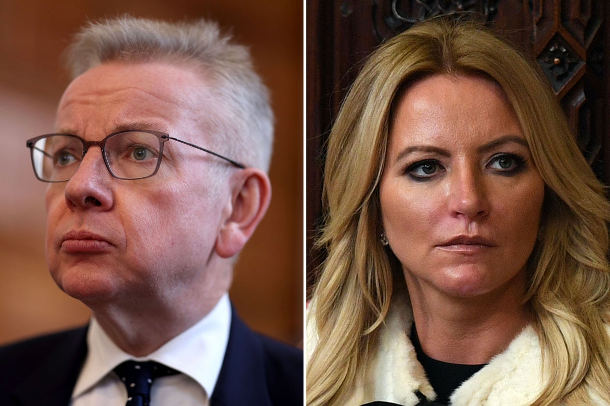Michael Gove reveals he has cooperated with criminal probe into ...