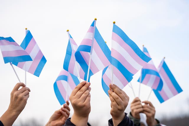 <p>Transgender flags holding by people on a demonstration</p>