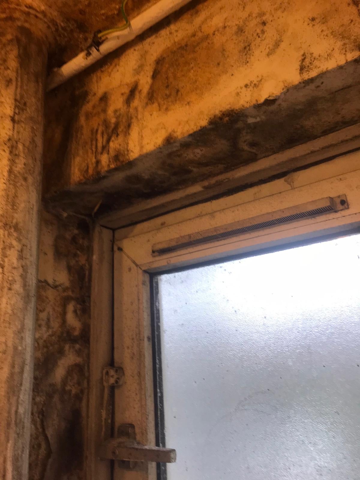 The family discovered a leak which caused mould and dampness to spread throughout their home