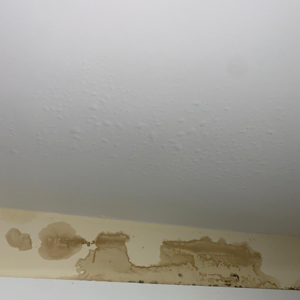 Surveyors contracted by Lambeth Council determined the leak was coming from the flat above