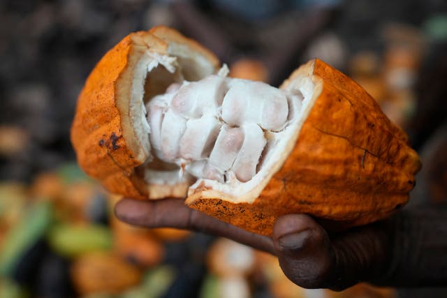 Nigeria Deforestation Chocolate