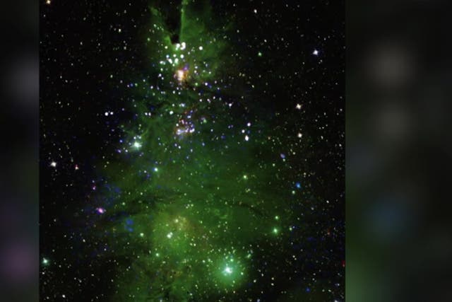 <p>Nasa telescope captures green Christmas tree-shaped cluster of stars lighting up.</p>