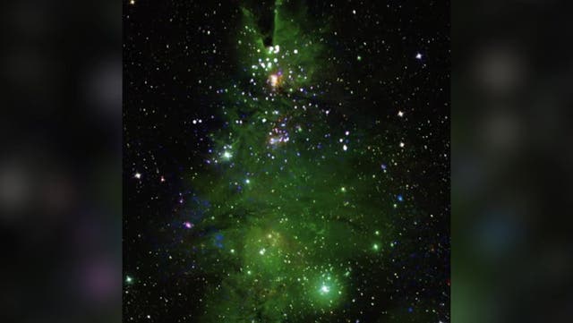<p>Nasa telescope captures green Christmas tree-shaped cluster of stars lighting up.</p>