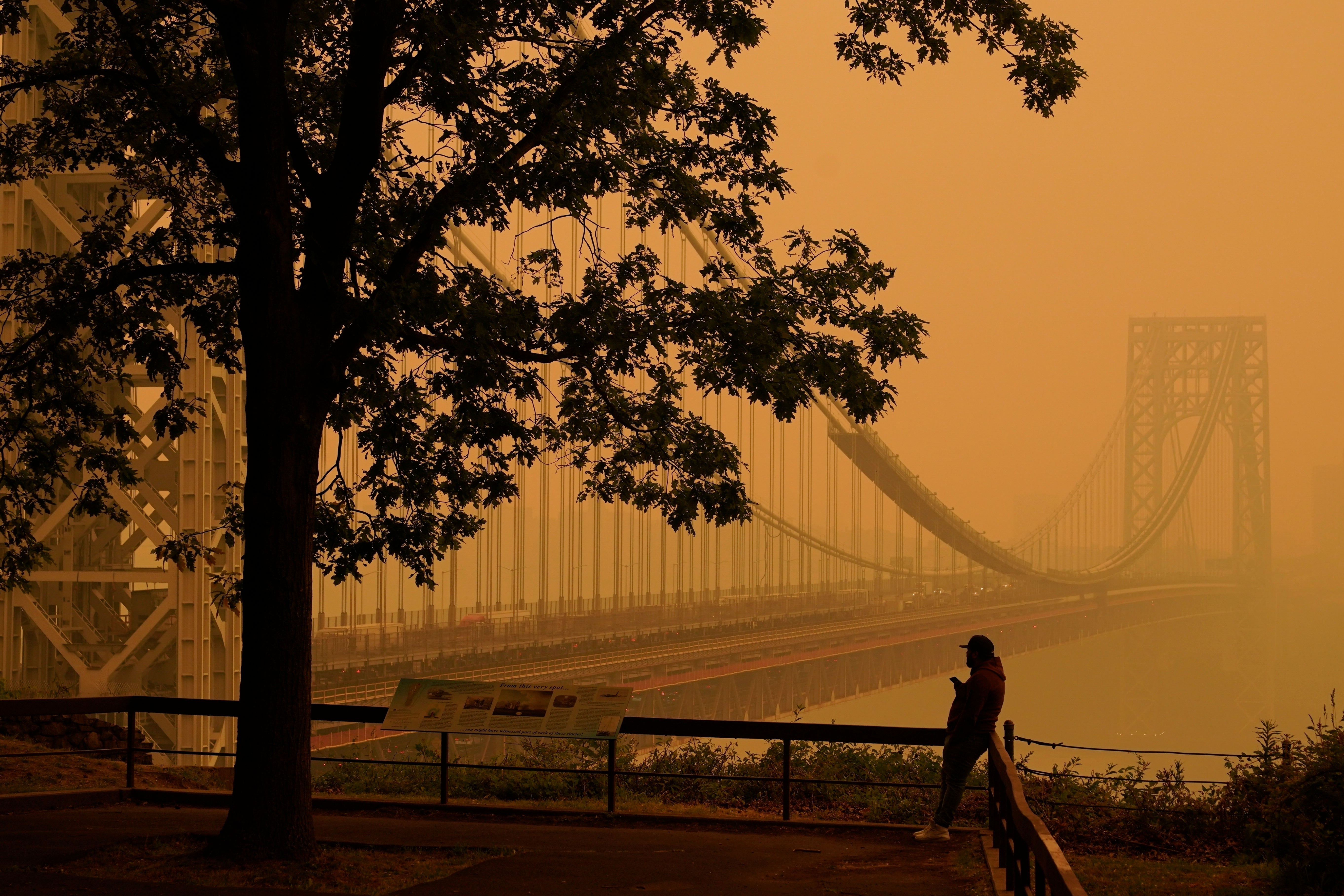 Air pollution caused by wildfires has been linked to a surge in eczema and dermatitis cases in North America