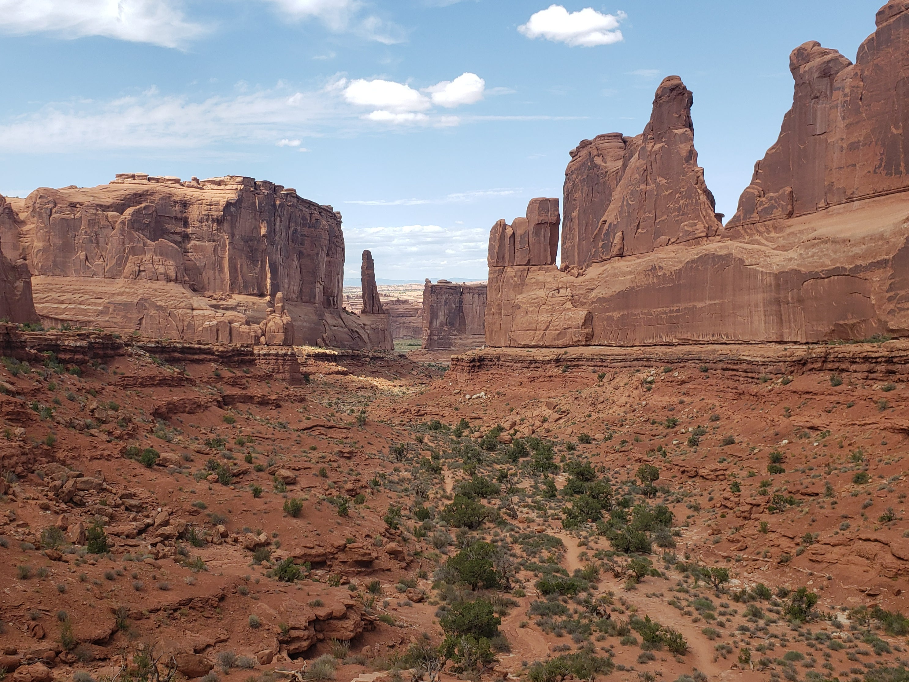 Weather-sculpted sandstone in Arches National Park