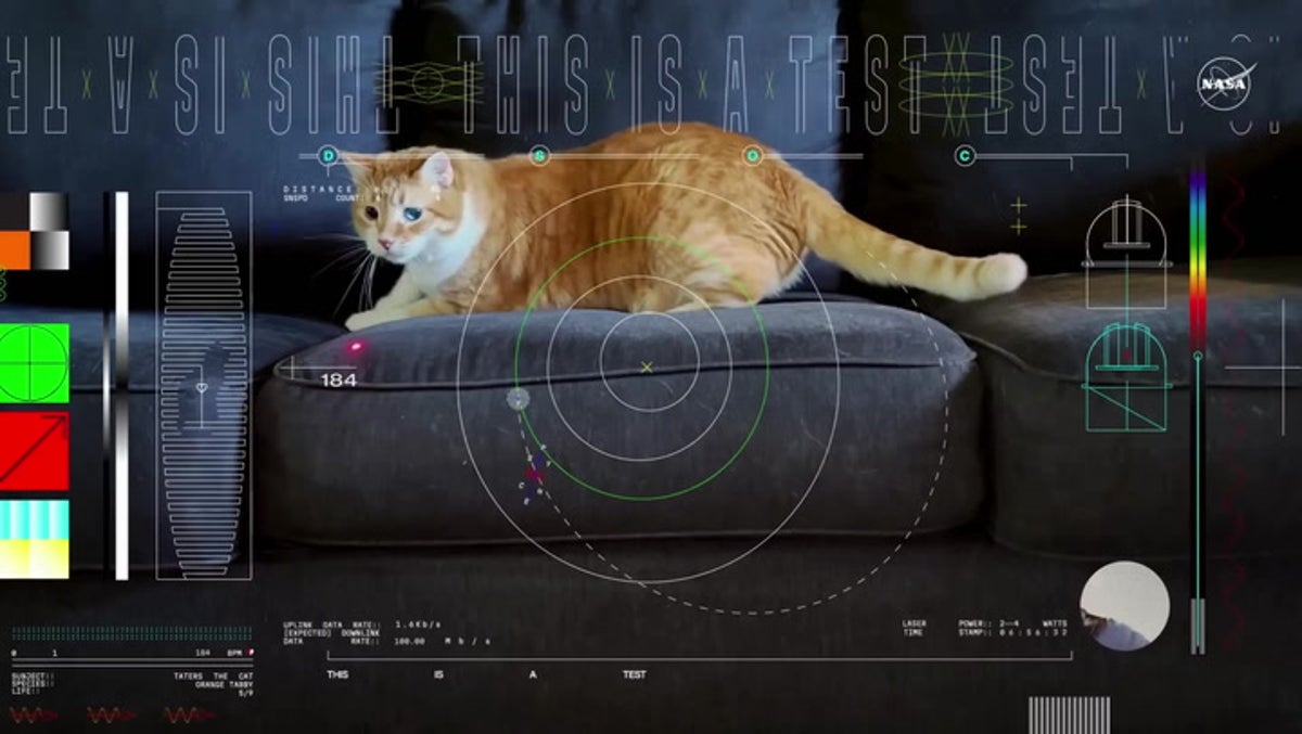 Laser-chasing cat recruited for Nasa space communications demonstration video