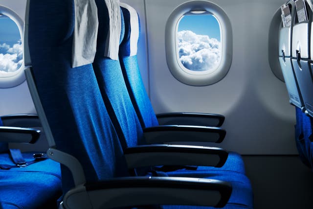 <p>For some travellers, selecting a plane seat can cause analysis paralysis, in which an overwhelming amount of options may lead to further indecision</p>