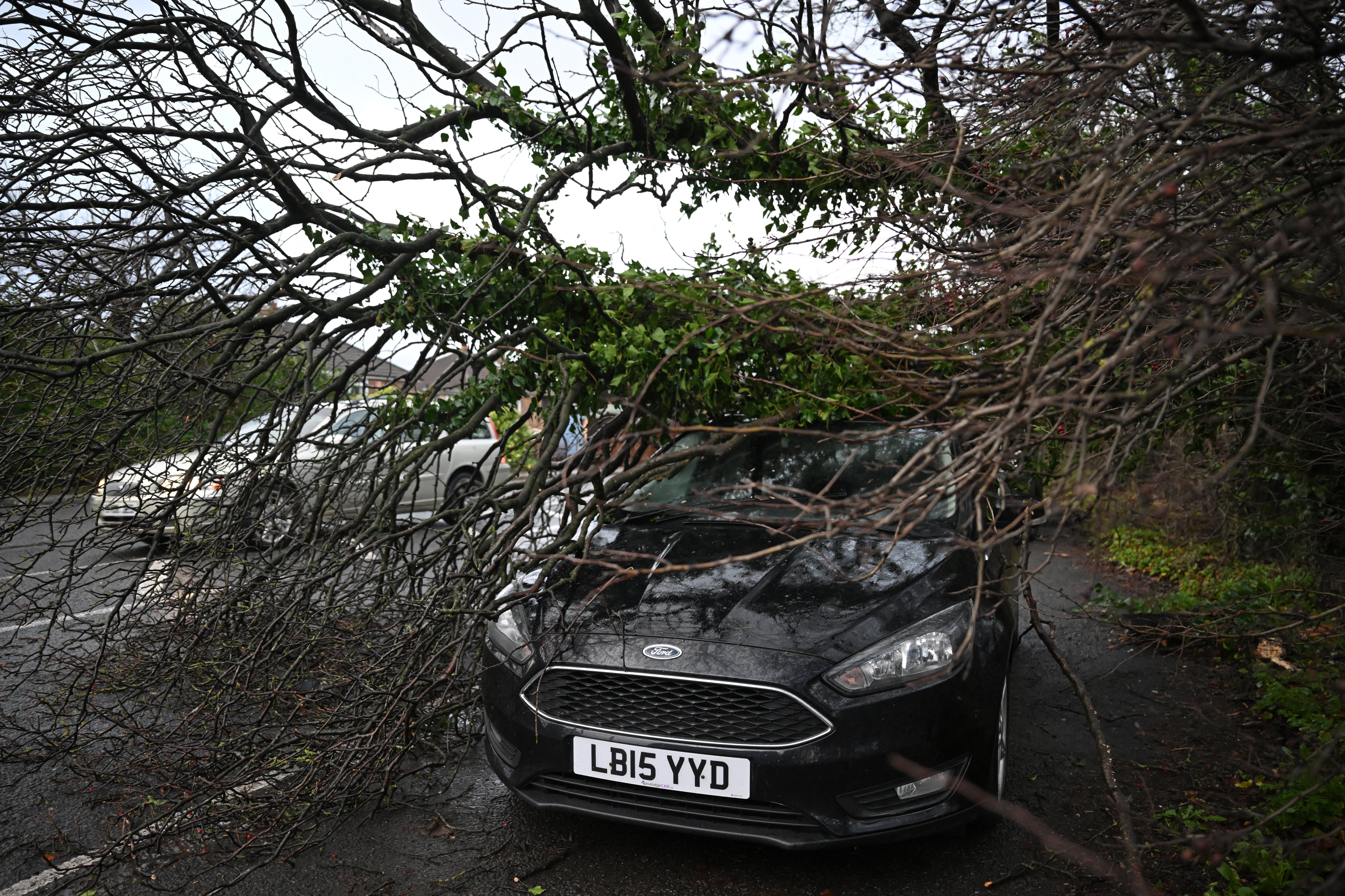 pBranches from a tree, brought down by strong winds, covers a parked car in a street in Huddersfield   /p