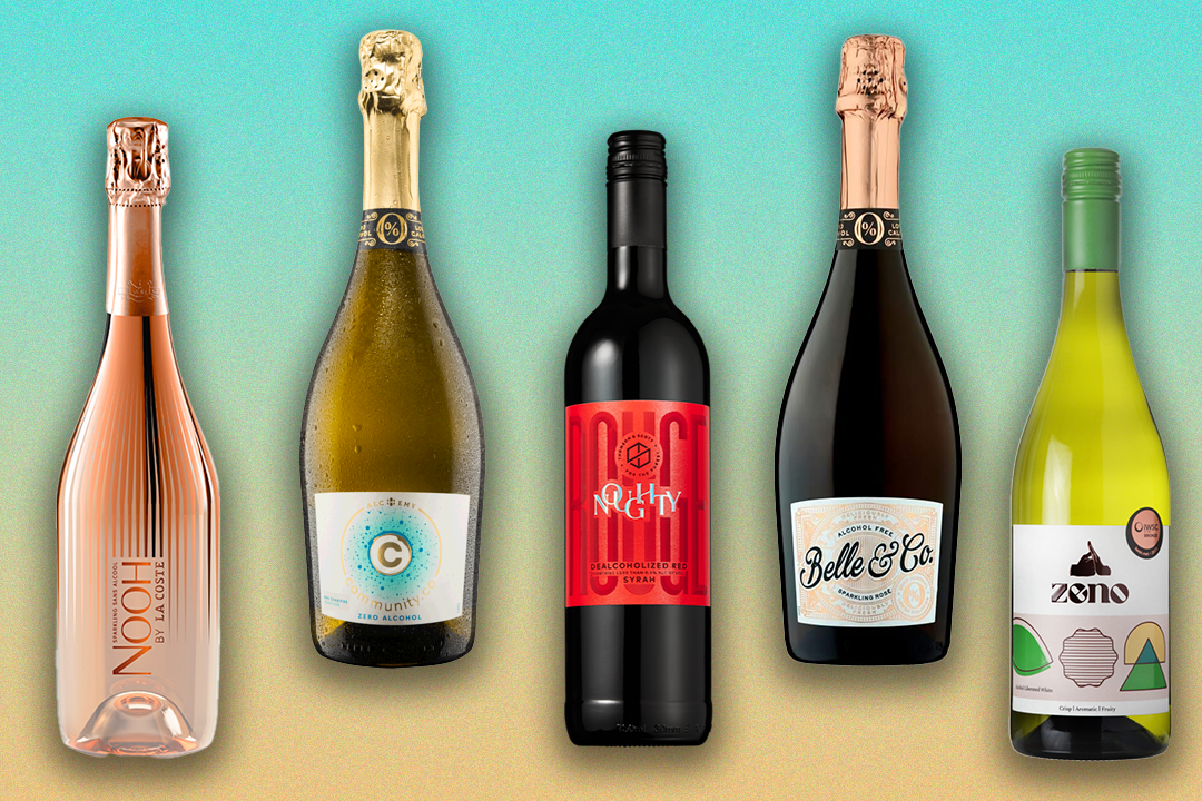 14 best non-alcoholic wines to enjoy, including red, white and sparkling