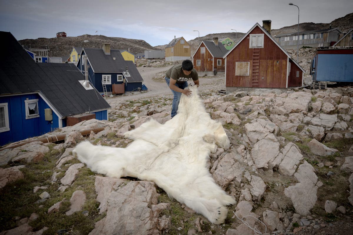 Нов вдъхновен от полярна мечка джумпер поддържа топлината на потребителя при екстремни студове с малка дебелина