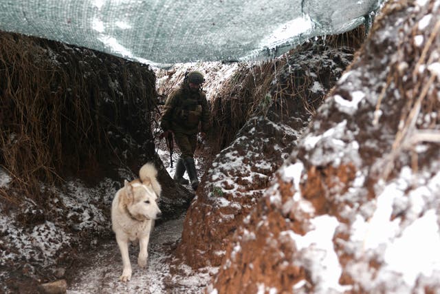 <p>A Ukrainian soldier walks along the trench with a dog as he holds his position at the front line near the Russian-occupied Ukrainian city of Horlivka, Donetsk region</p>