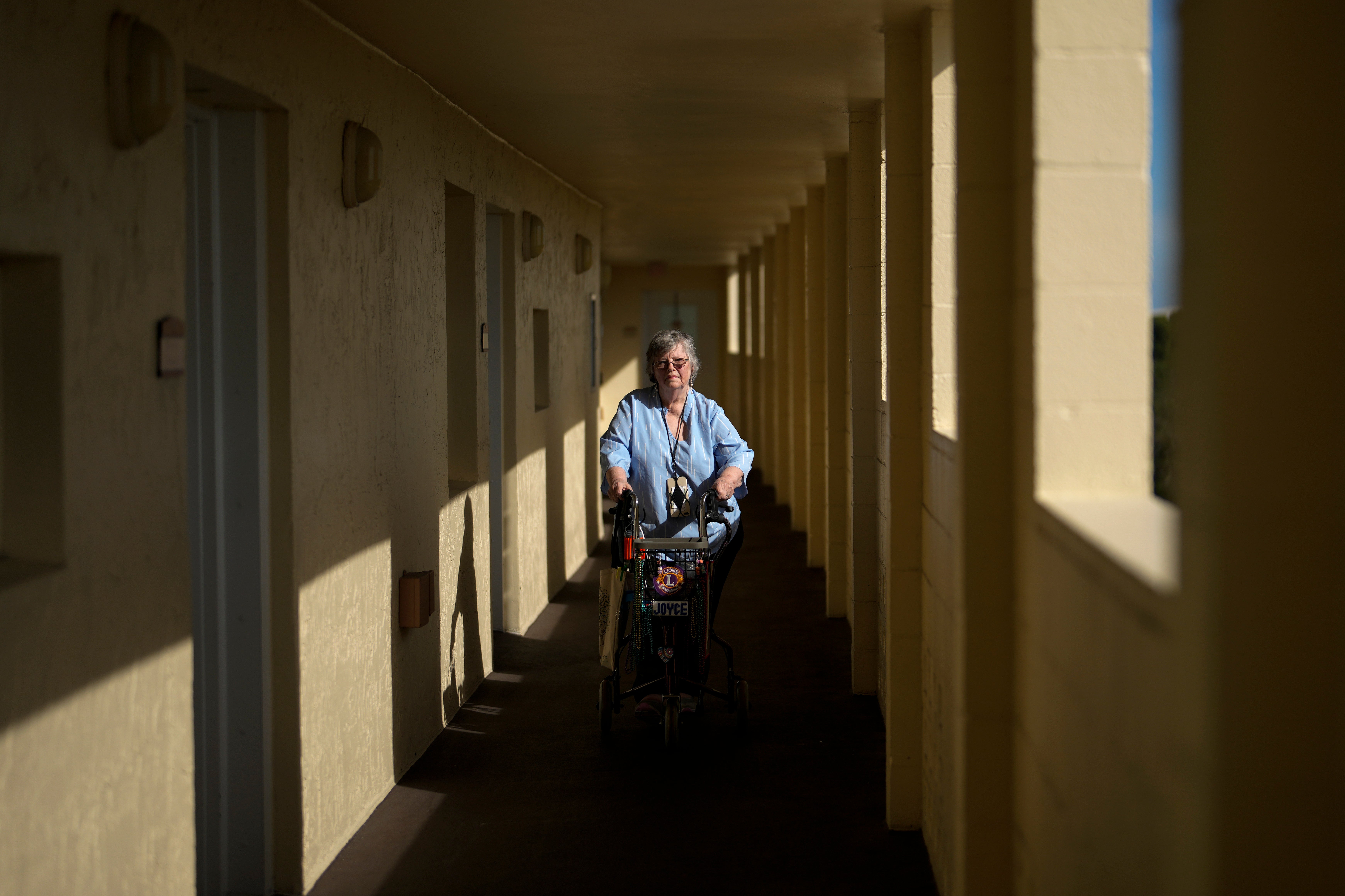 Artificial Intelligence Seniors