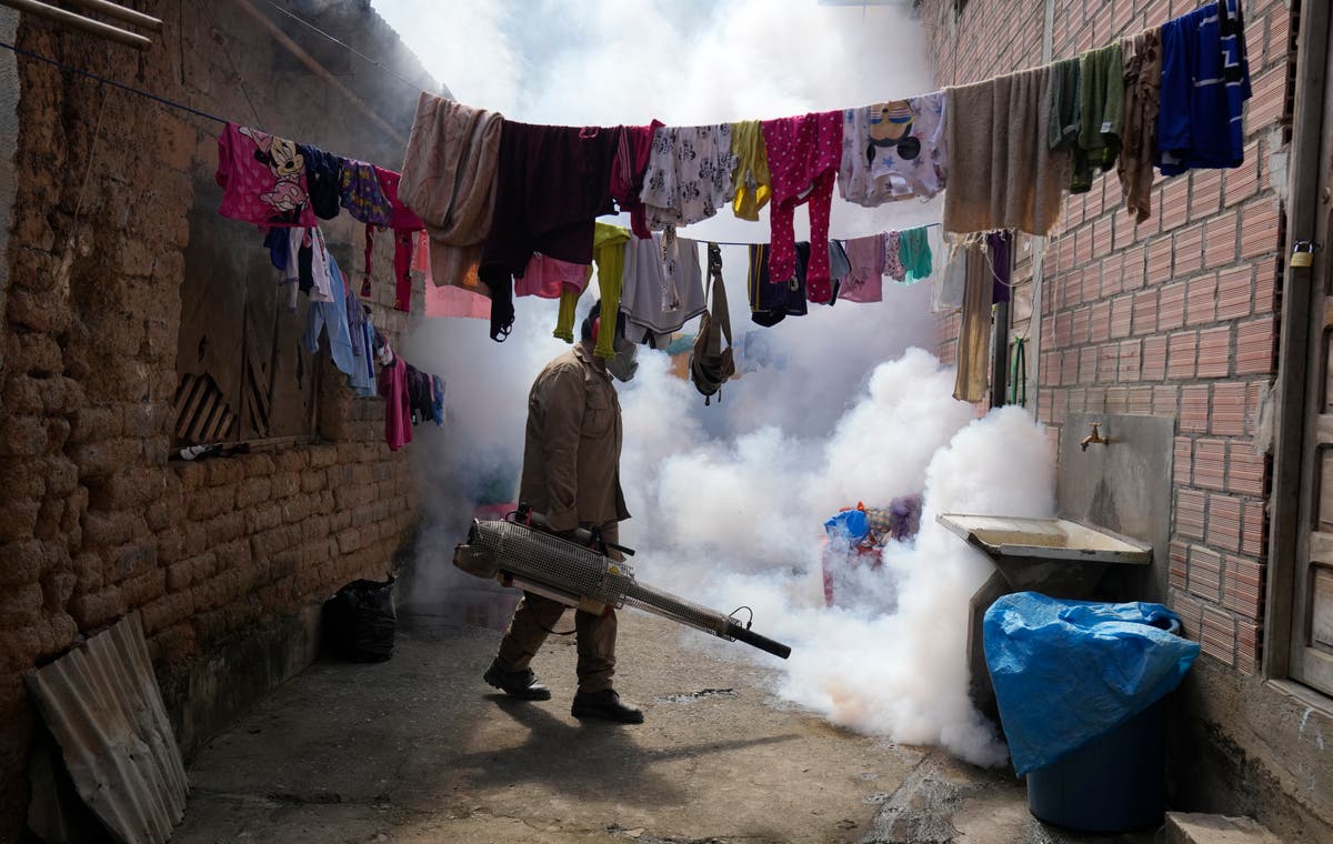 Здравната агенция на ООН цитира десетократно увеличение на докладваните случаи на денга през последното поколение