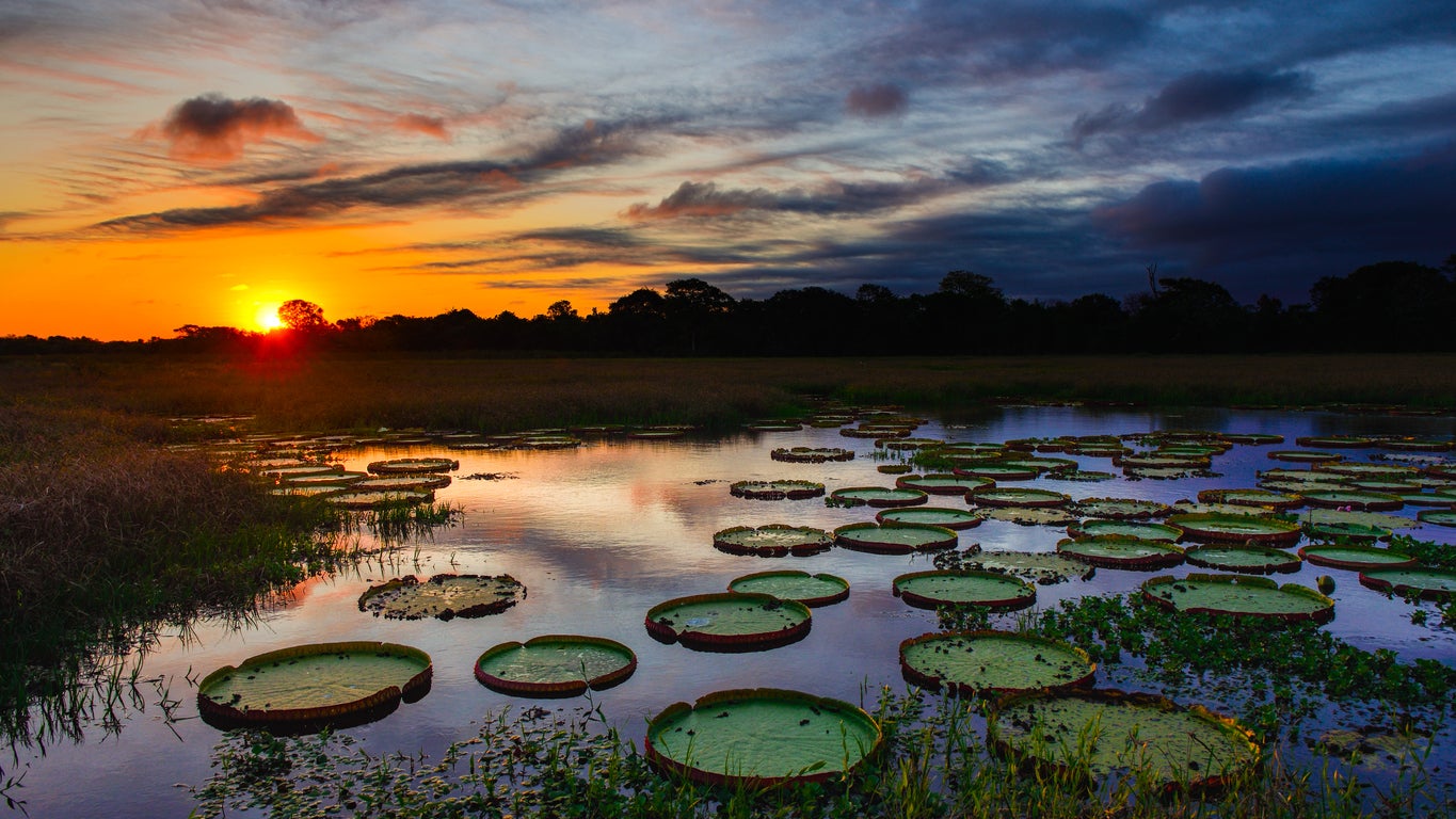 The Pantanal wetlands extend into both Bolivia and Paraguay