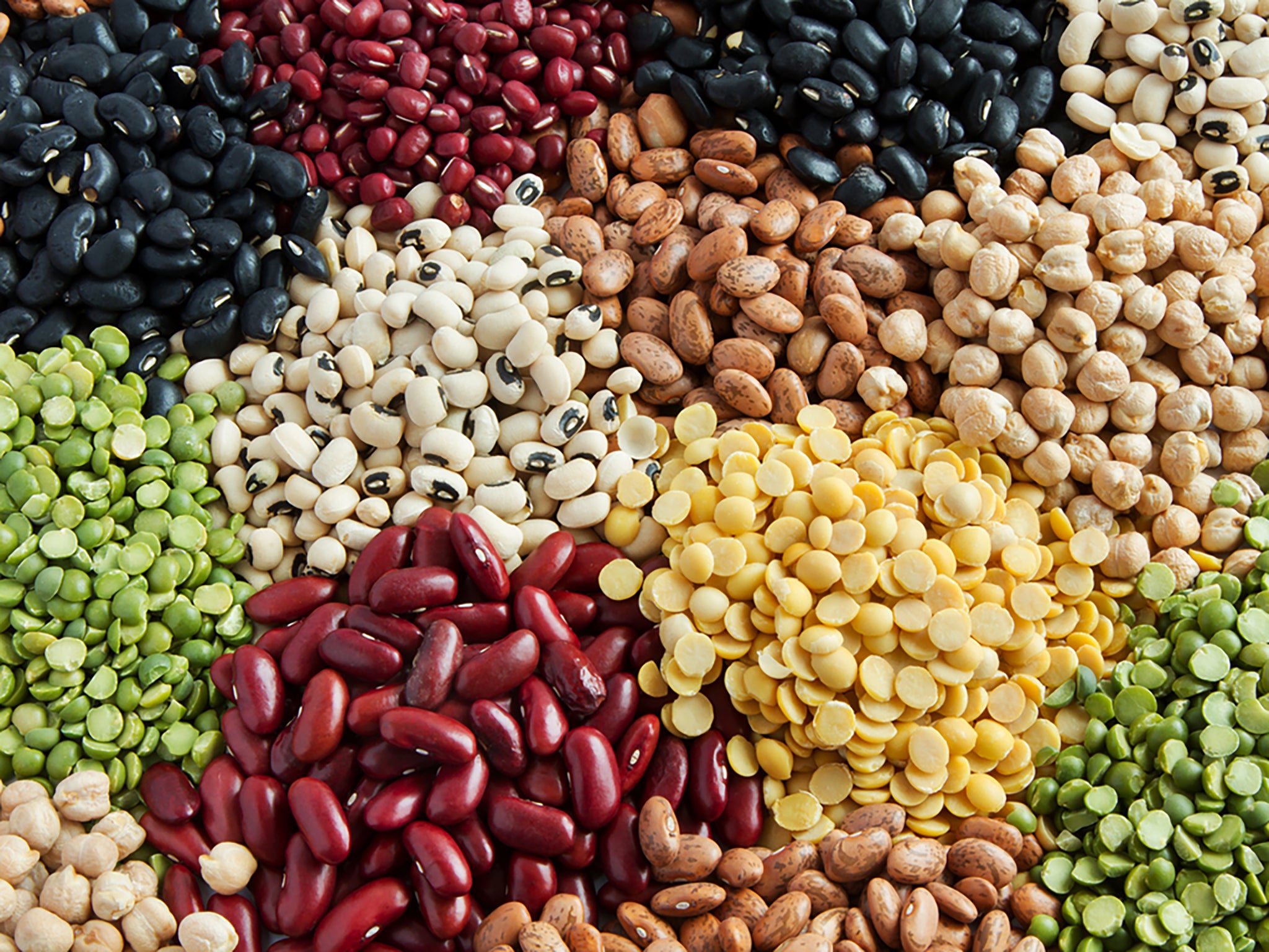 ‘Beans are a climate-positive solution that help tackle the global food, climate and cost of living crises’