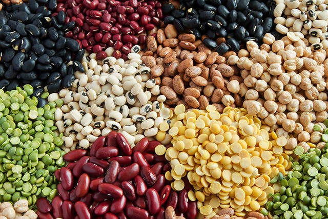 <p>‘Beans are a climate-positive solution that help tackle the global food, climate and cost of living crises’ </p>