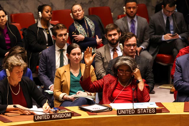 <p>US ambassador to the United Nations Linda Thomas-Greenfield abtains from voting at the UN Security Council on 22 December</p>