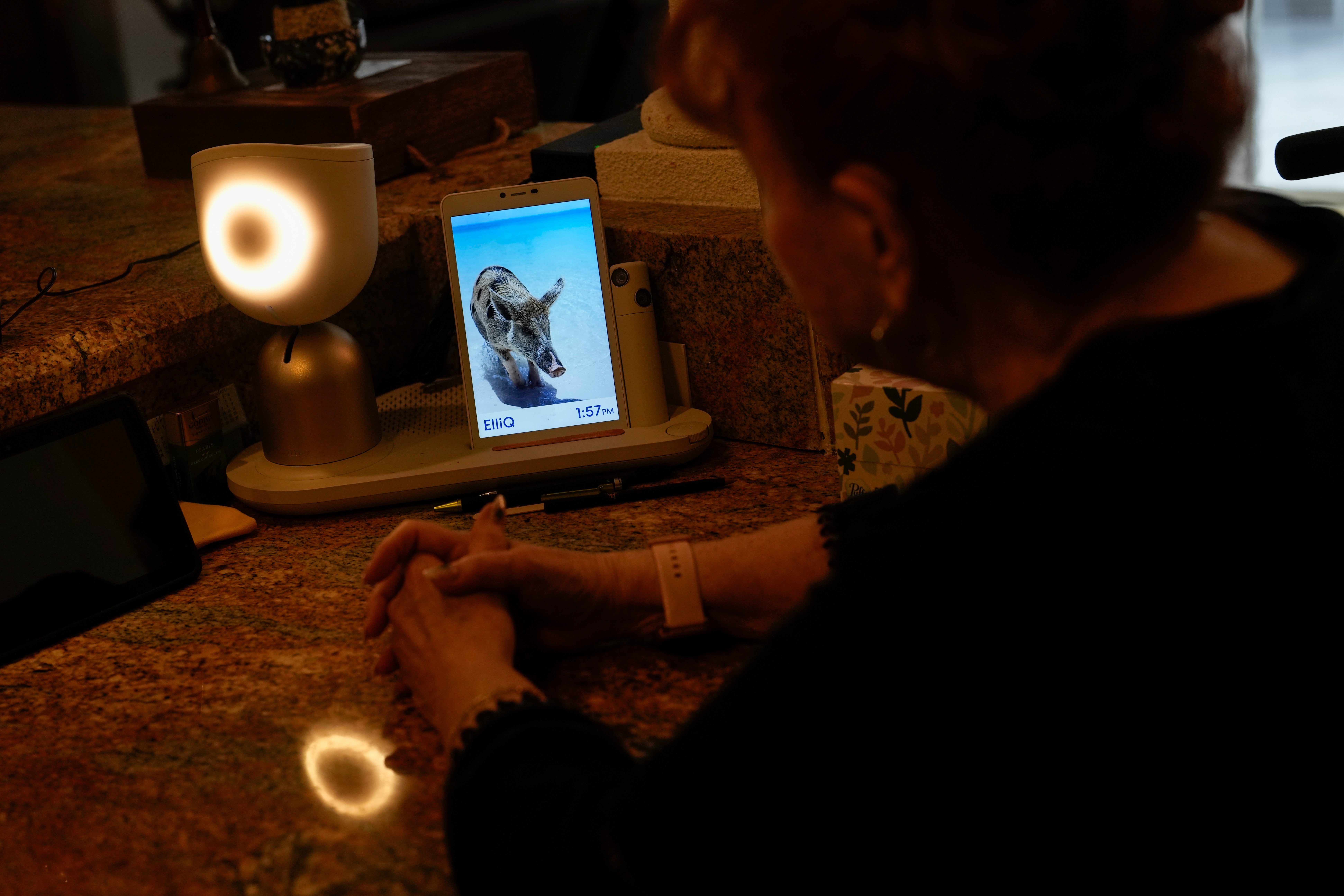 INTELIGENCIA ARTIFICIAL-ANCIANOS