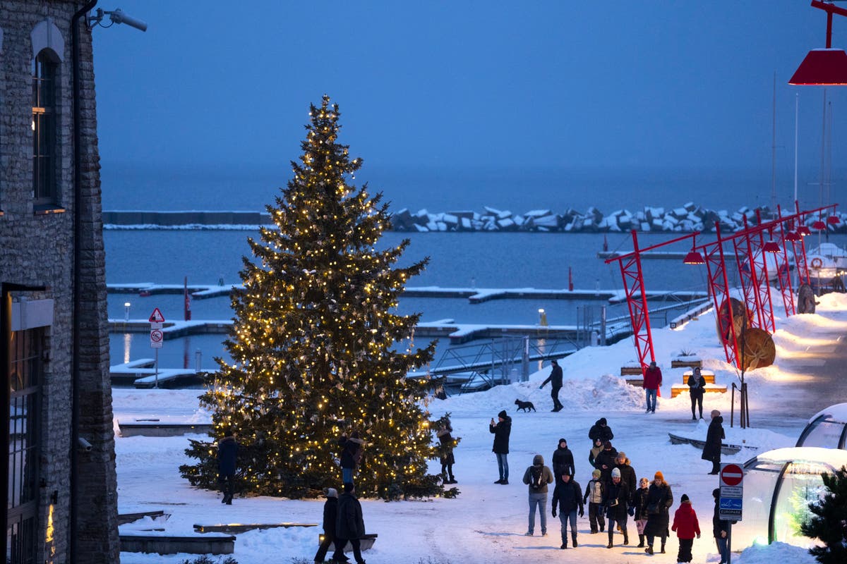 СНИМКИ AP: Естония, една от първите страни въвели коледни елхи, празнува празника