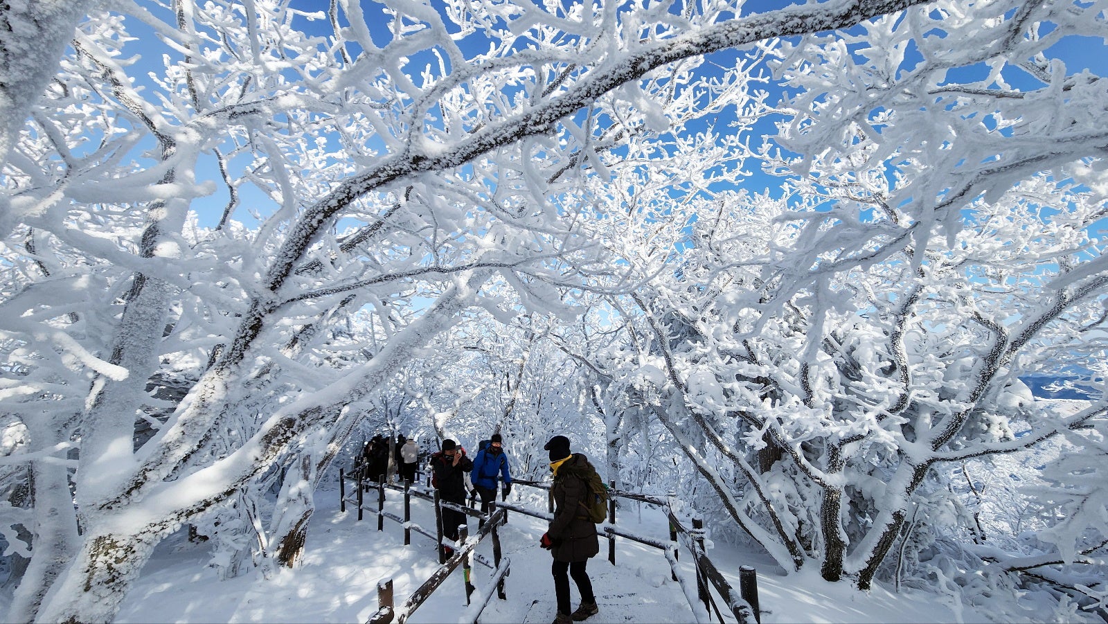 Visitors enjoy a snowy landscape after a recent snowfall of 20 centimeters in Mount Deokyu National Park in Muju, North Jeolla Province, South Korea