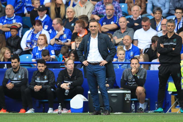 Carlos Carvalhal on the touchline at Hillsborough (Mike Egerton/PA)