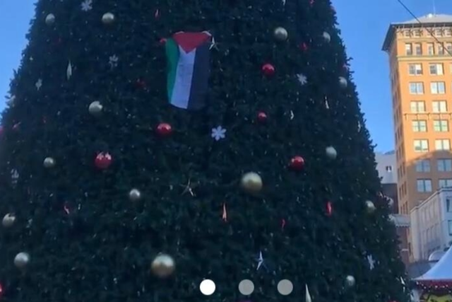 <p>Pro-Palestine protester climbs San Francisco’s <em>83</em> ft Union Square Christmas tree</p>