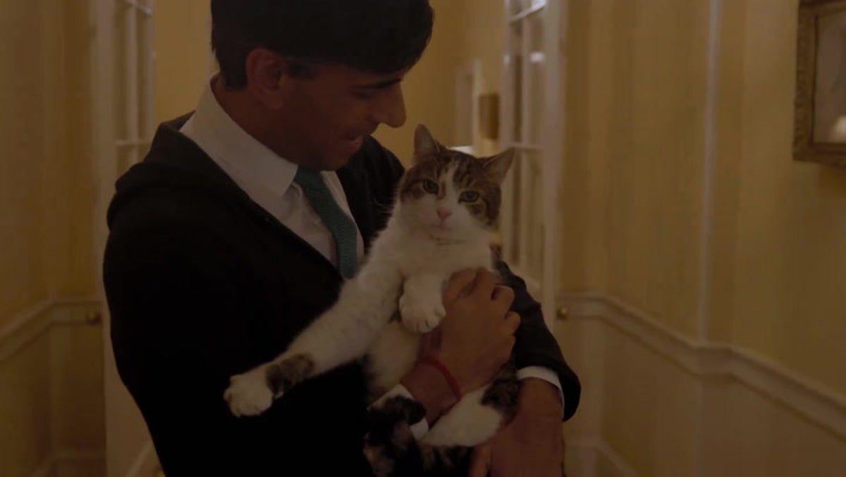 Rishi Sunak shares bizarre Home Alone-inspired video at No 10 featuring Larry the Cat