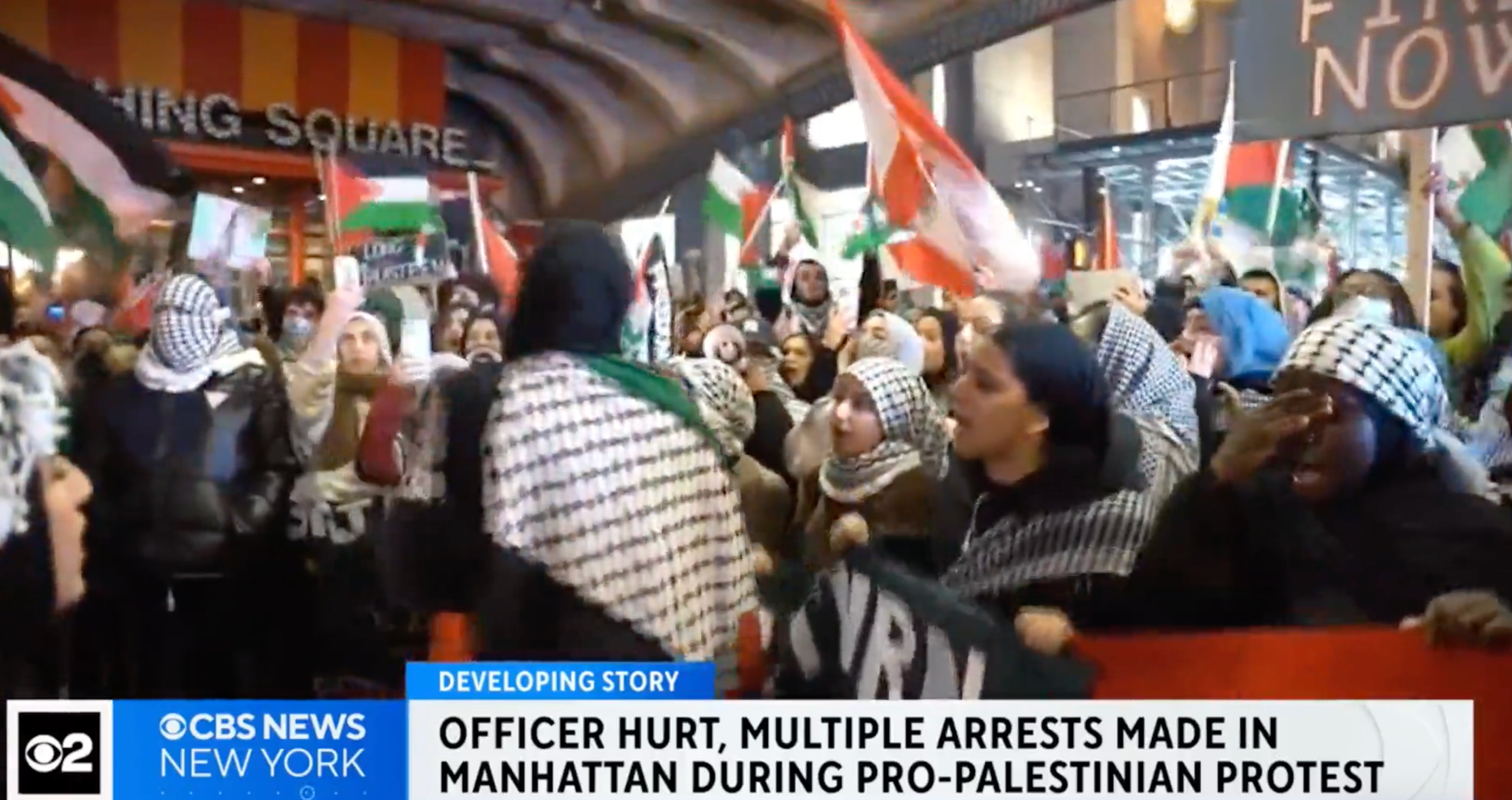 Pro-Palestinian protesters clashed with police during a Christmas Day rally in Manhattan