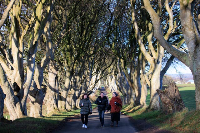 Tourists at the Dark Hedges near Armoy in Co Antrim (Liam McBurney/PA)