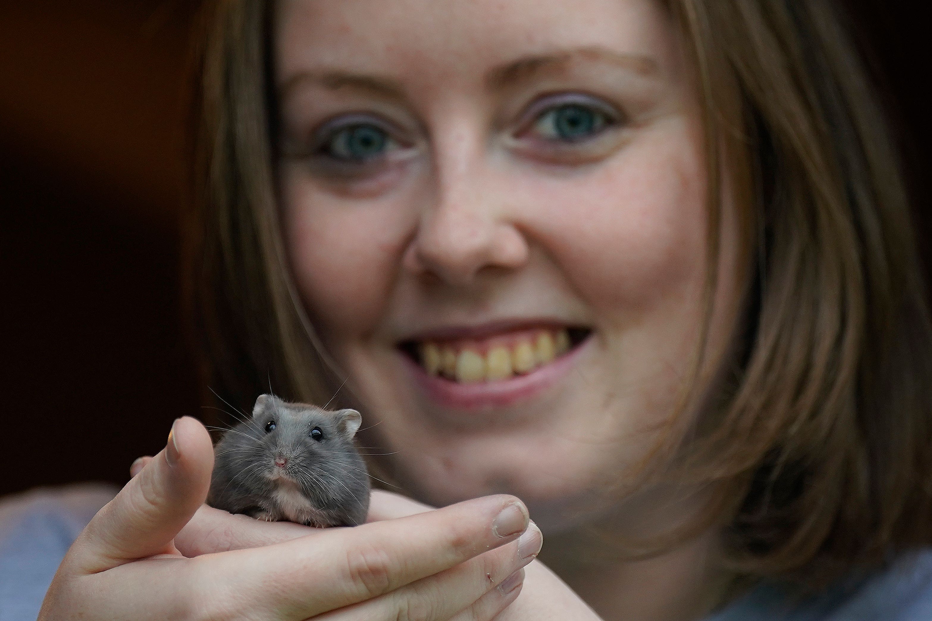 Sophie Laverty, co-founder of Hamster Info Ireland, with Sabrina a winter white hybrid hamster at her sanctuary in Athy Co Kildare (Niall Carson/PA)