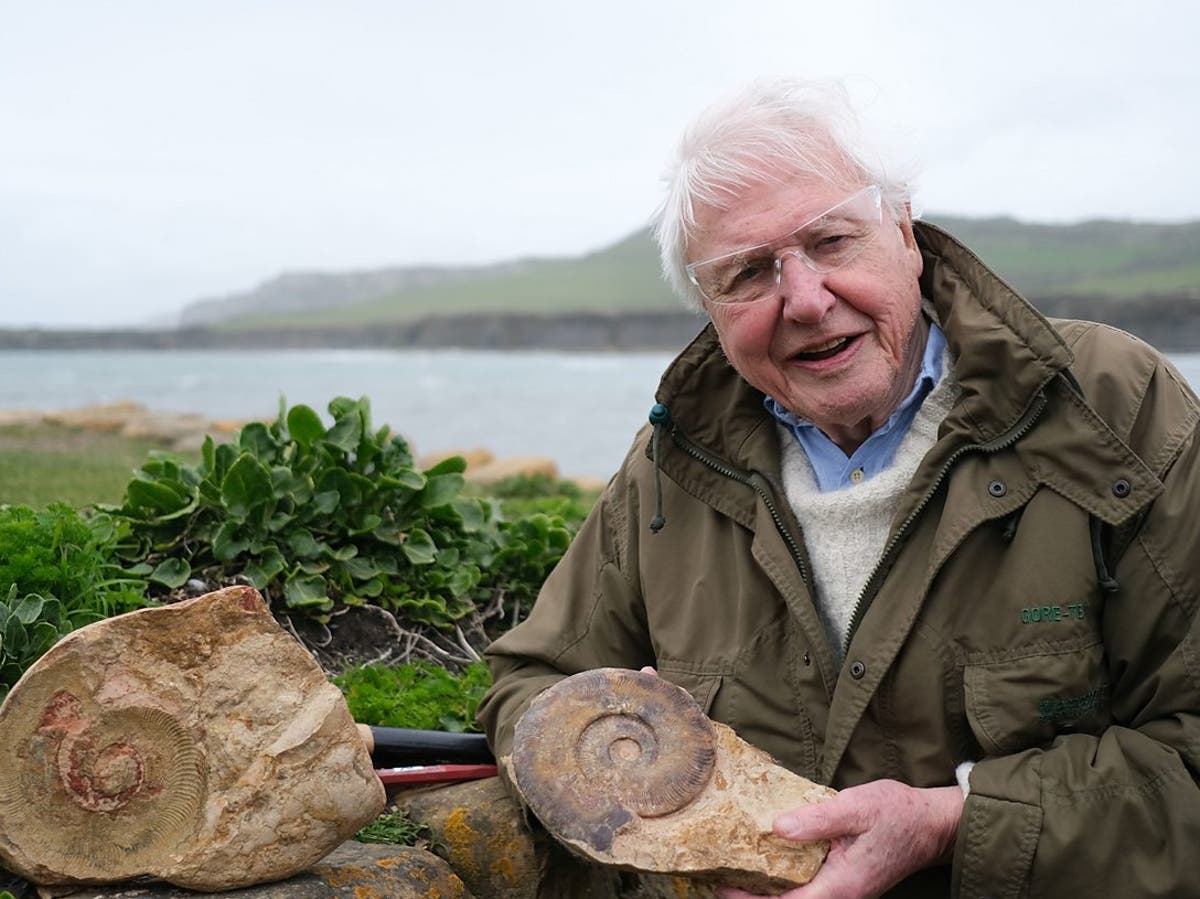 Sir David Attenborough says unearthing &lsquo;one-in-a-billion&rsquo; fossil was a &lsquo;great privilege&rsquo;