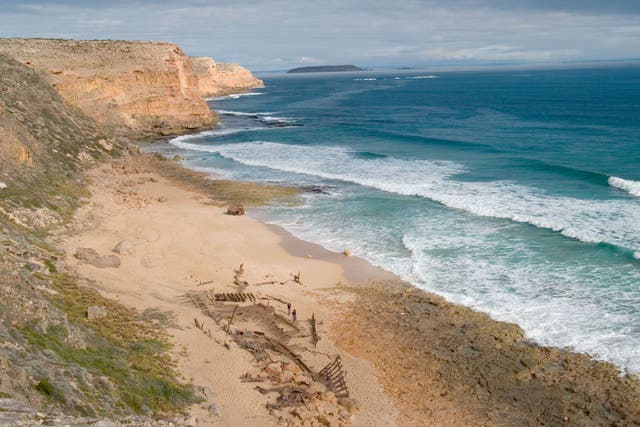<p>Ethel Beach is a popular Australian surfing spot in the south  </p>