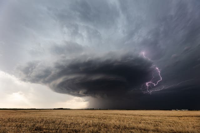 <p>Supercell thunderstorms are most common in the United States’ Tornado Alley</p>
