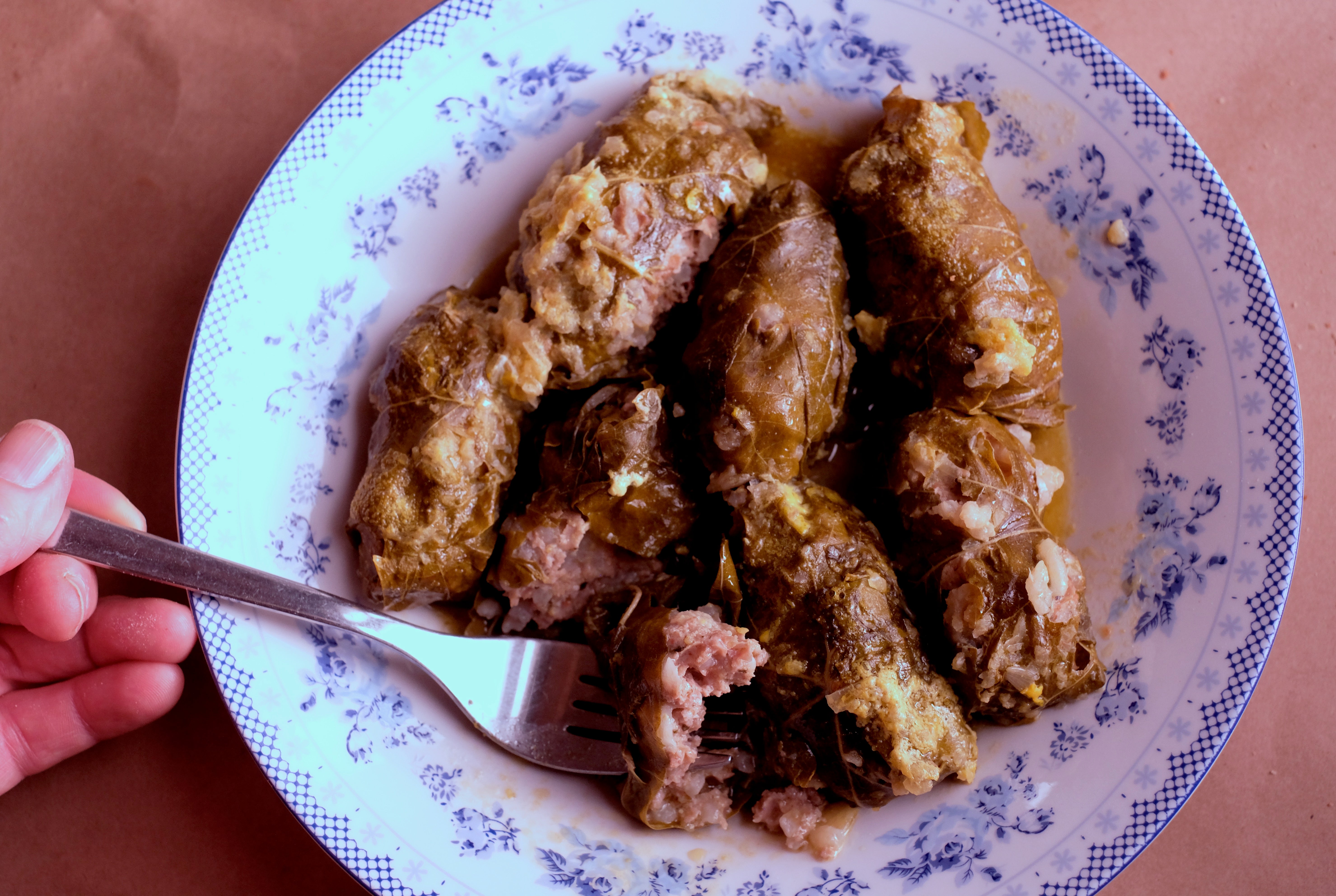 Stuffed vineleaves at Arktos