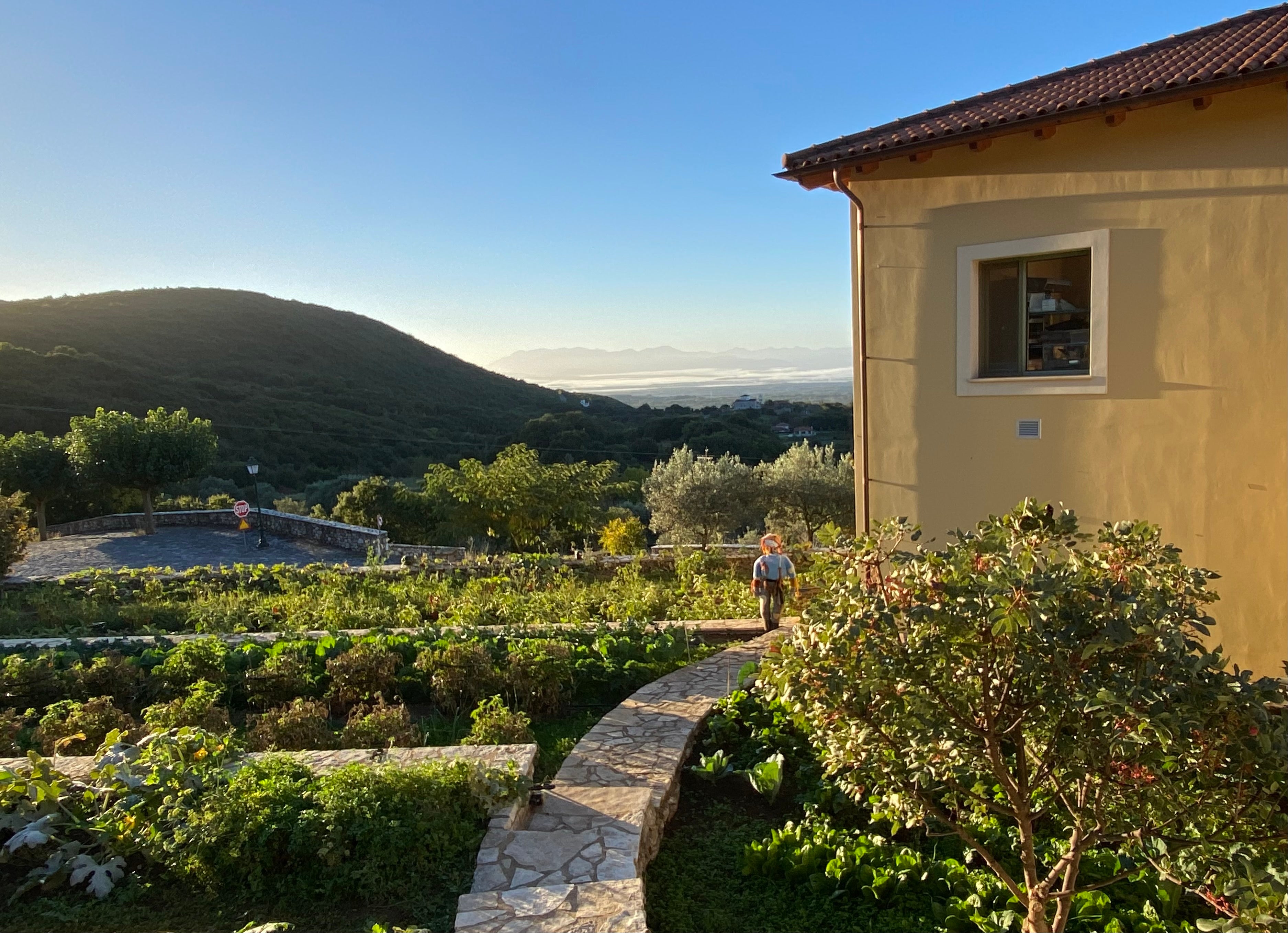 The vegetable garden at Arcadiani