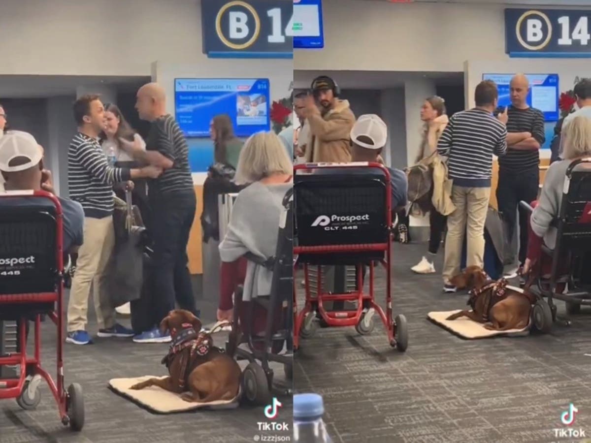 Couple has airport meltdown over dogs after flight home is delayed - Vimarsana News