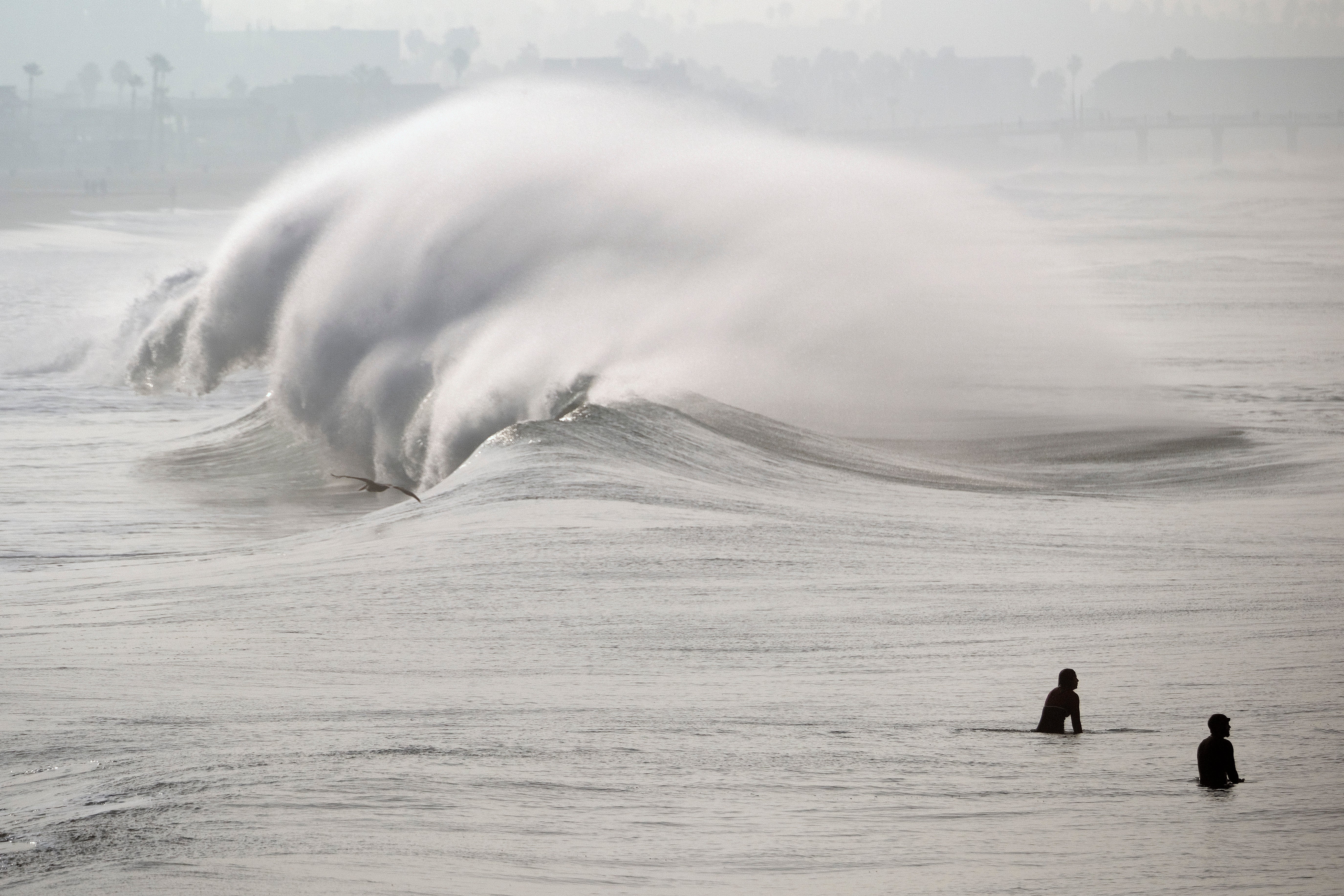 Shops The Angry Sea, wave photograph, Hawaii wave photo, ocean photo, big wave, building wave, stormy ocean, black and white wave