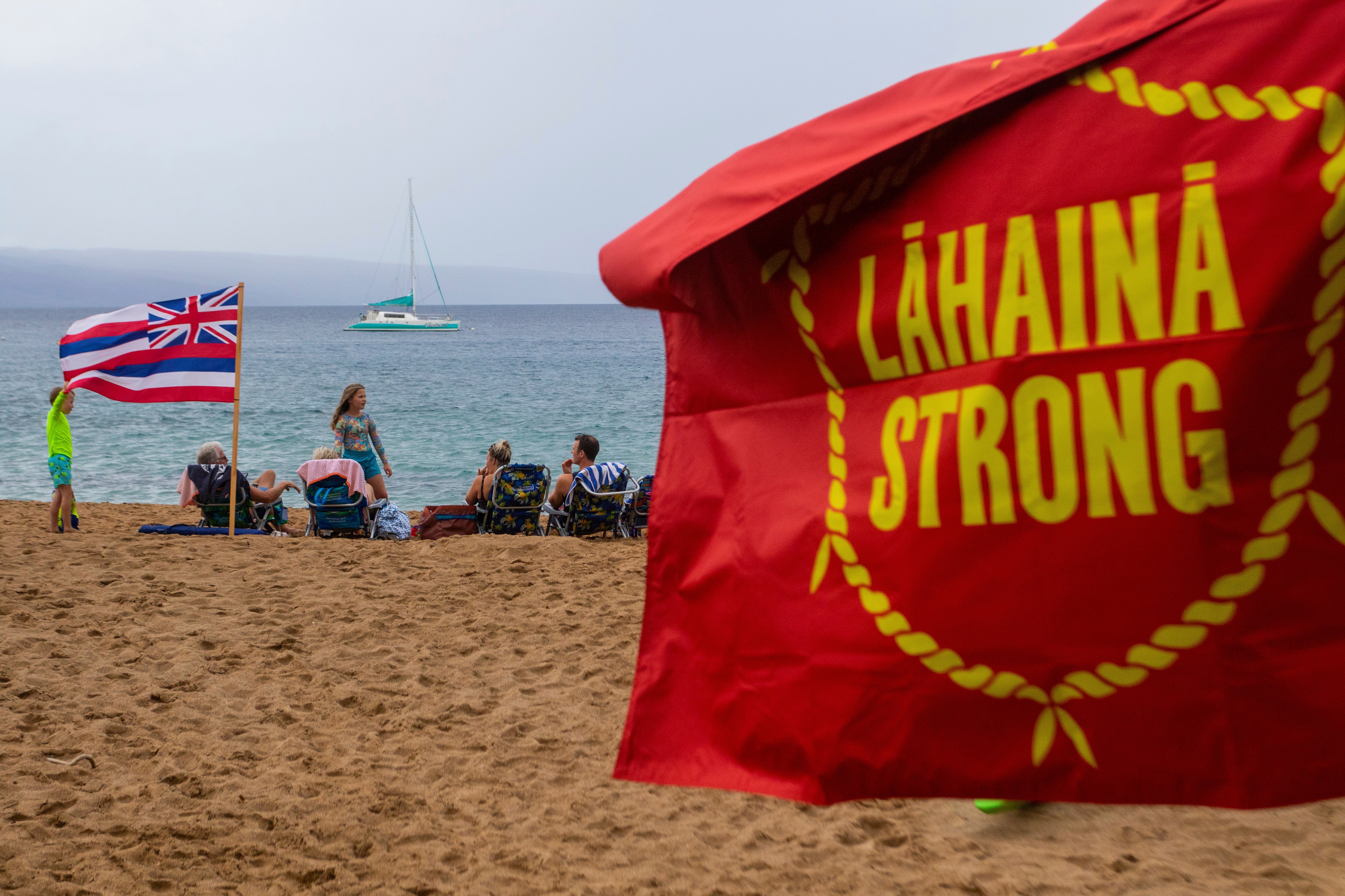 Wildfire Post Disaster Tourism