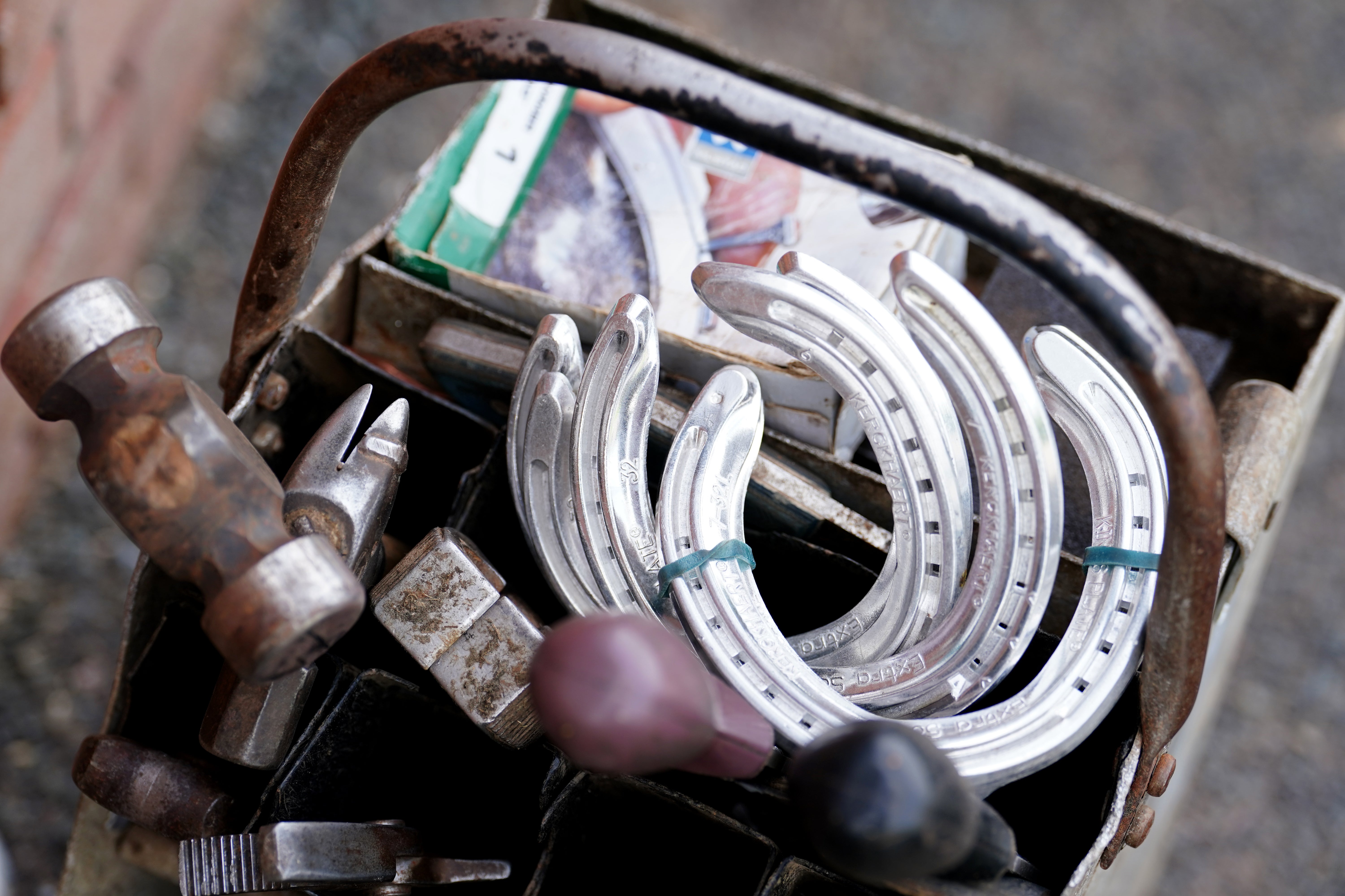 Second hand horse store shoes for sale