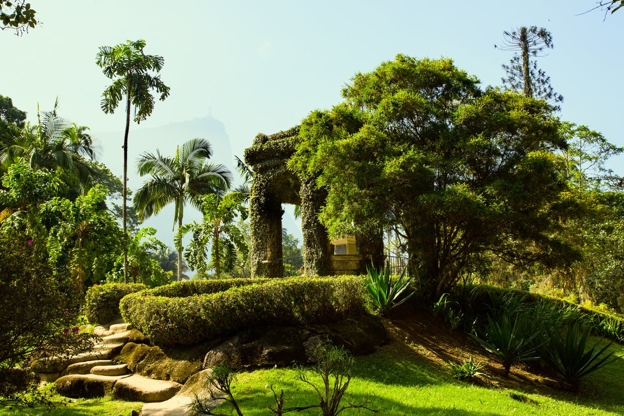 The Botanic Gardens were created by Brazil’s Prince Regent in 1808
