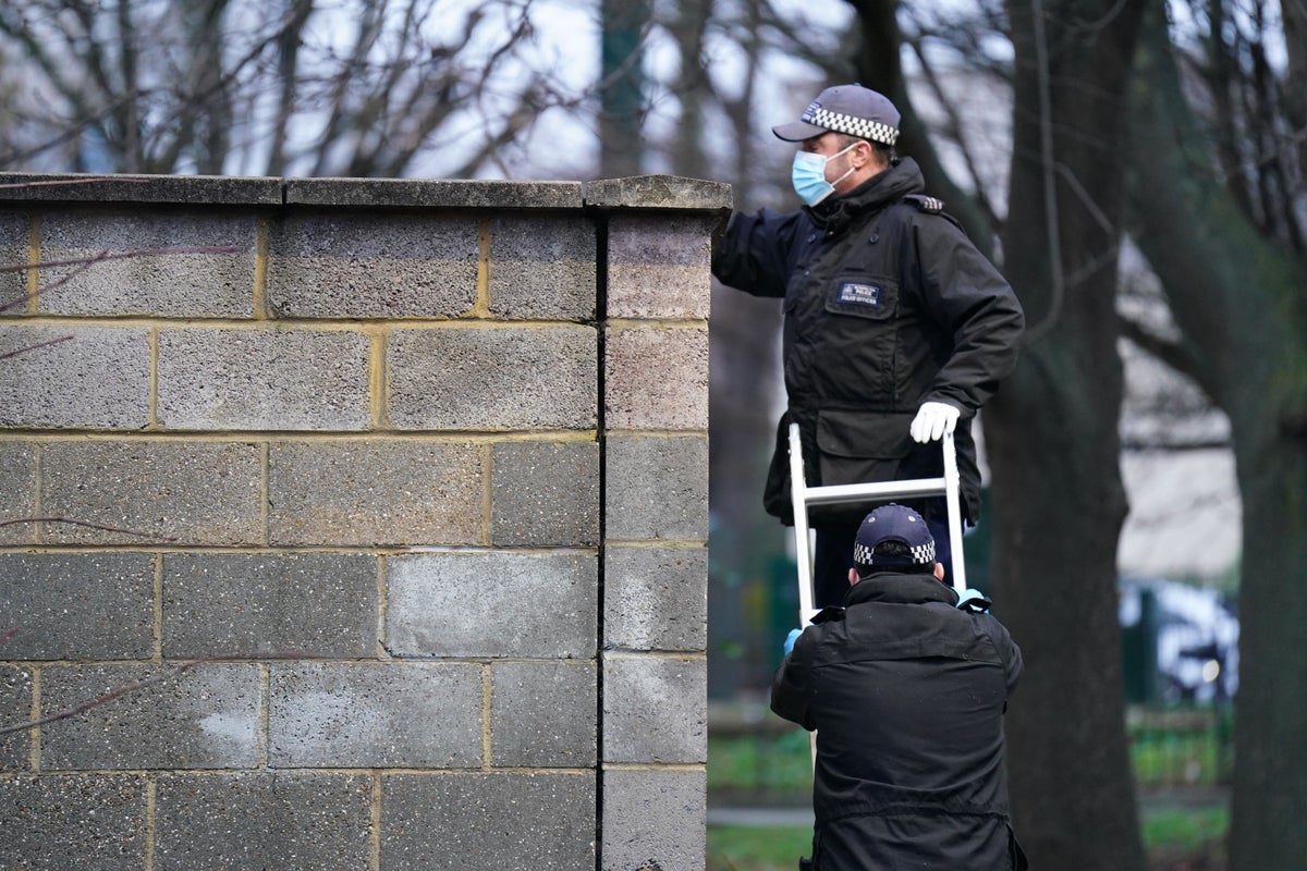 Met launches murder probe after 29-year-old man stabbed to death in ...