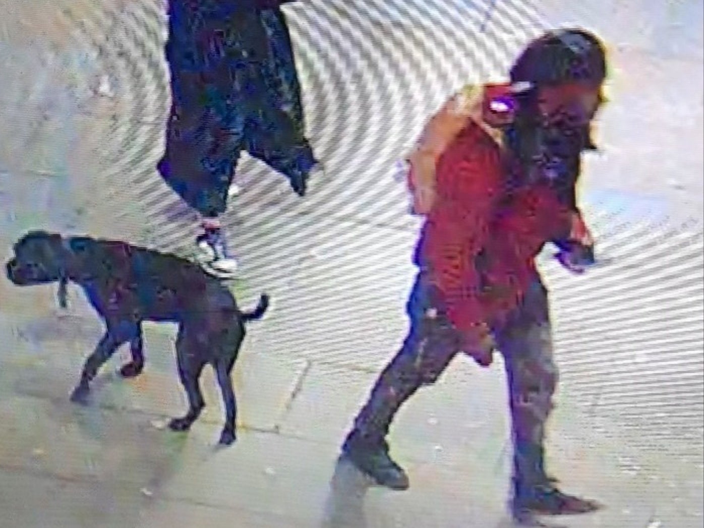 The victim was stabbed following a confrontation over the suspect’s dog fouling in the City of London in the early hours of Saturday
