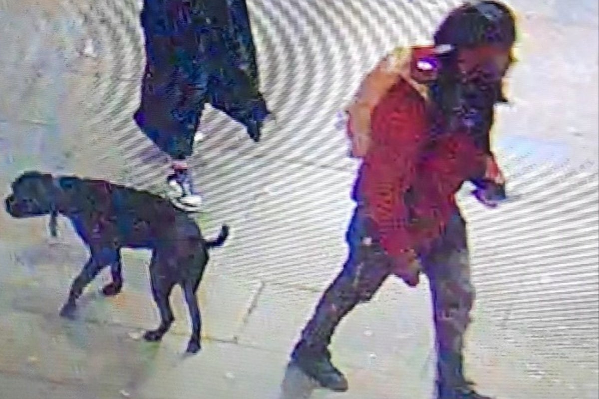 Man stabbed after confronting dog walker for not picking up pet’s mess ...